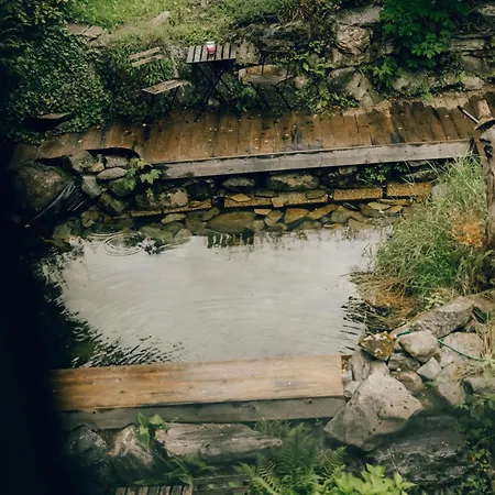 Waldhaus Rudolfshoehe