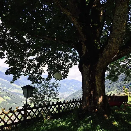 Couette-café Waldhaus Rudolfshoehe Bad Gastein
